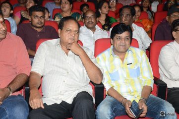 Vinavayya Ramayya Movie Audio Launch